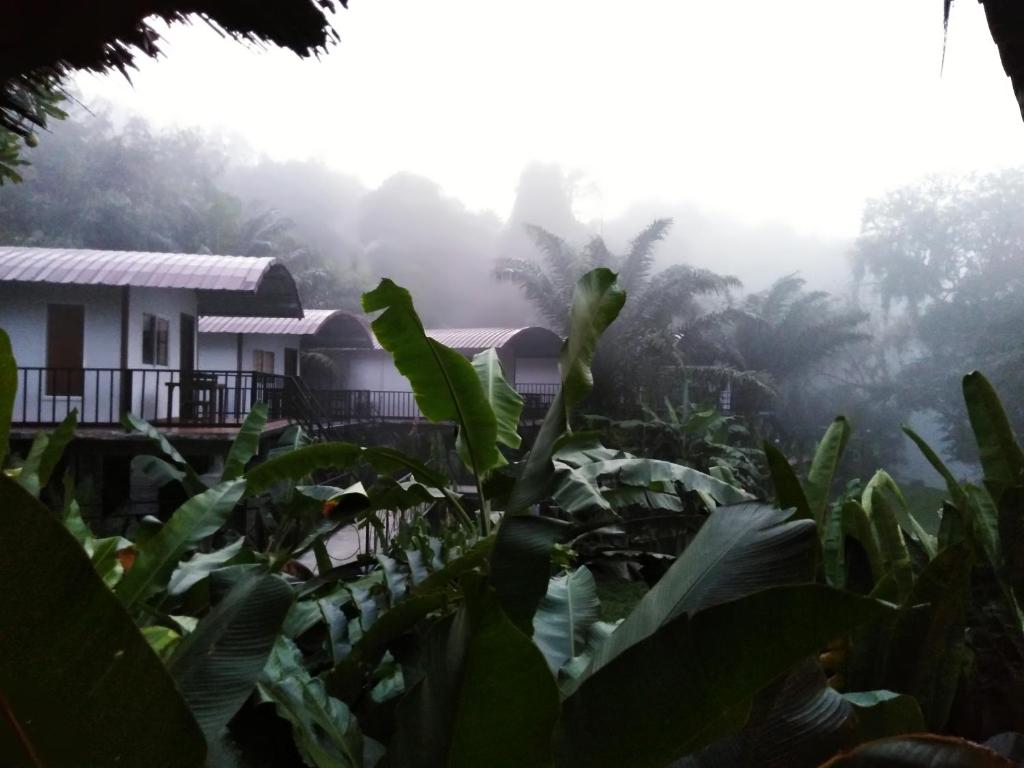 Khaosok River Camp - 9