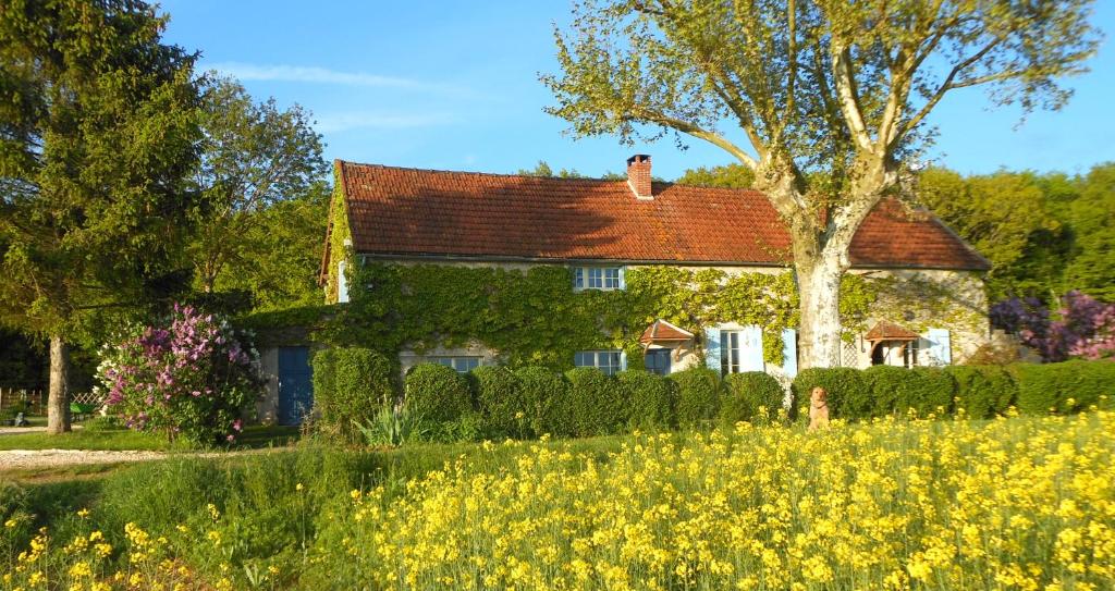 a house in the middle of a field of flowers at Auberge de la Tuilerie in Andryes