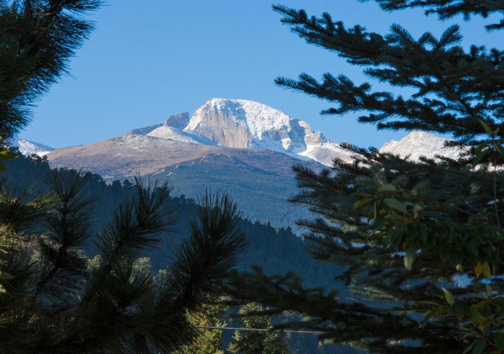 Kalnų panorama iš poilsiavietės arba bendras kalnų vaizdas