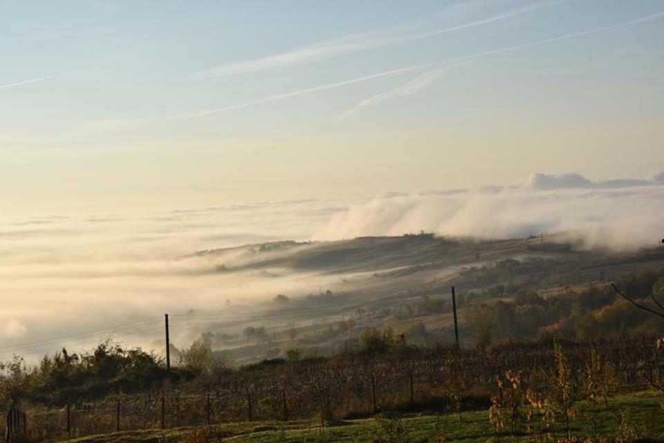 een uitzicht op een veld met wolken in de lucht bij Casuta de pe dealul Seciu in Boldeşti-Scăeni