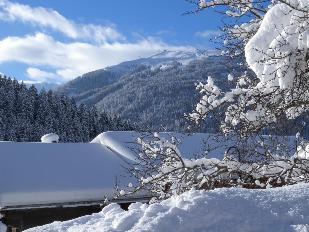 Fotografie z fotogalerie ubytování Ferienwohnung Dorfanger v destinaci Alpbach