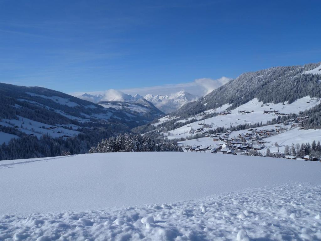 Fotografie z fotogalerie ubytování Ferienwohnung Dorfanger v destinaci Alpbach