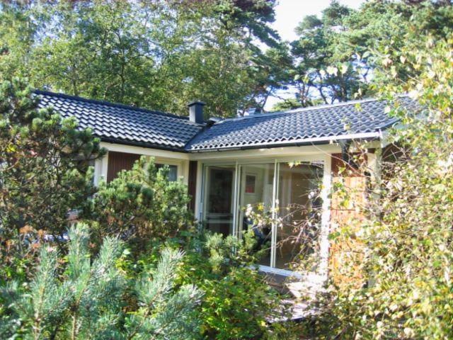 a small house with a blue roof and trees at Strandstugan in Degeberga