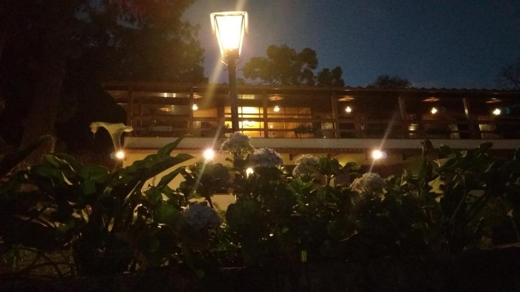  Casa Europa