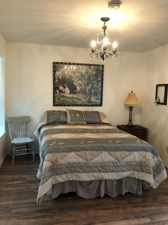 a bedroom with a bed and a chandelier at Perfect Country-Side Get-Away in Boerne