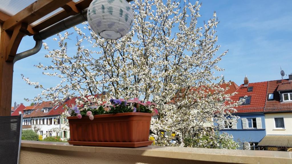 Balkón nebo terasa v ubytování Pension a la Kleinert