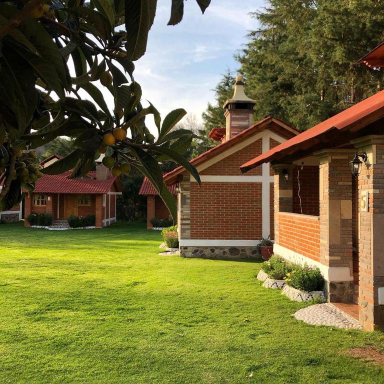 Zahrada ubytování Cabañas Rincón Escondido