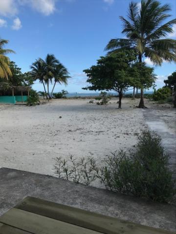 a sandy beach with palm trees and the ocean at le méridien les pieds dans l'eau in Sainte-Anne