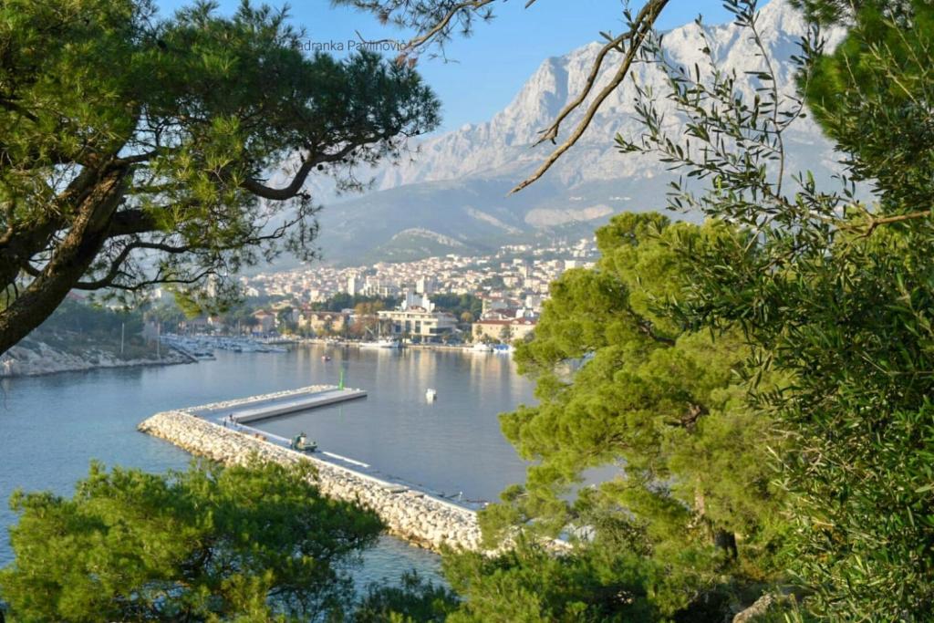 Príroda v okolí apartmánu