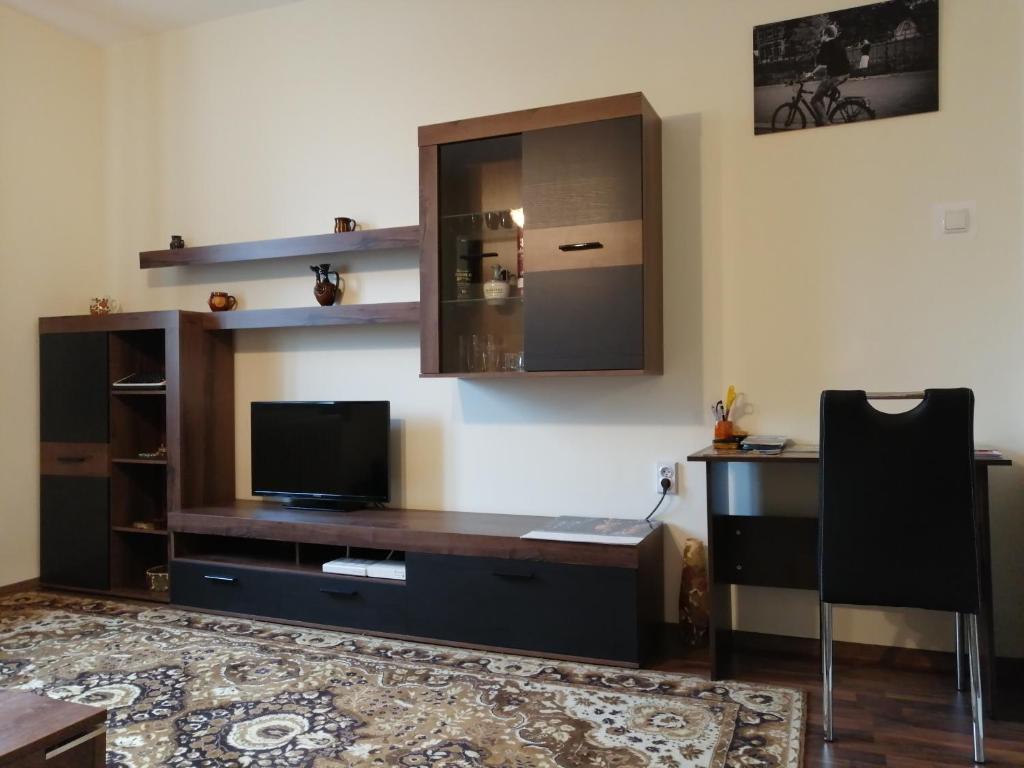 TV a/nebo společenská místnost v ubytování Central Academic Apartment Sofia