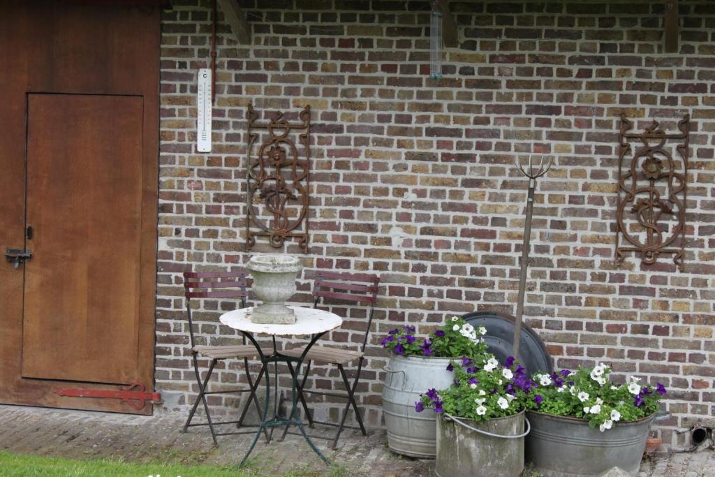 Zahrada ubytování B&B Lomolen