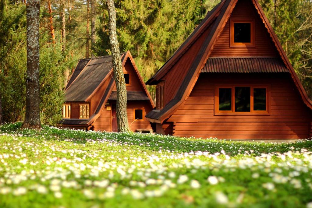 a cabin in the woods with flowers in front of it at JordaNova in Gołkowice Górne