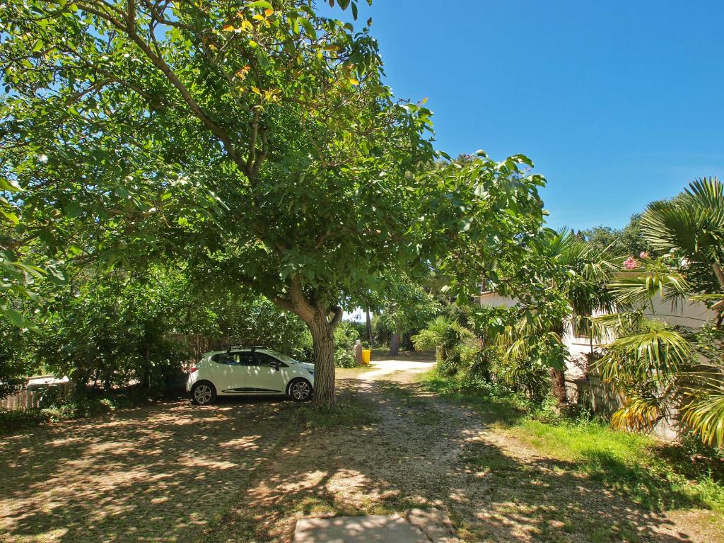 Zahrada ubytování Apartments Rovinj 820