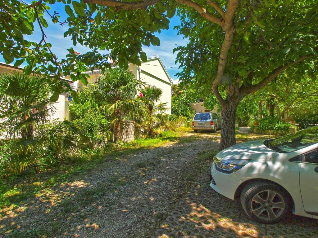 Zahrada ubytování Apartments Rovinj 820
