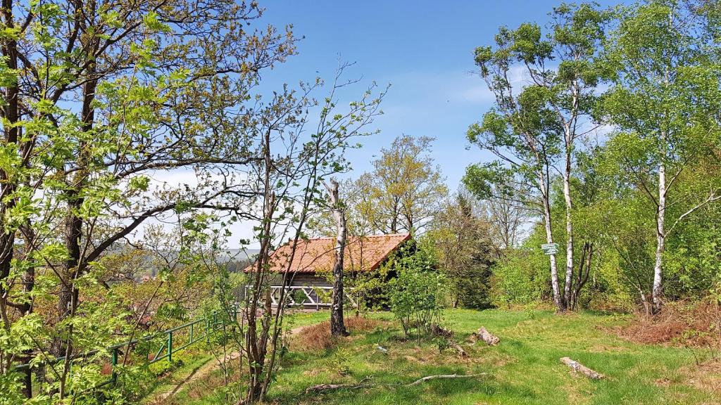 Příroda nedaleko apartmánu