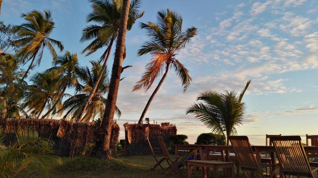 a table and chairs on the beach with palm trees at LE TRANSAT in Ambatoloaka