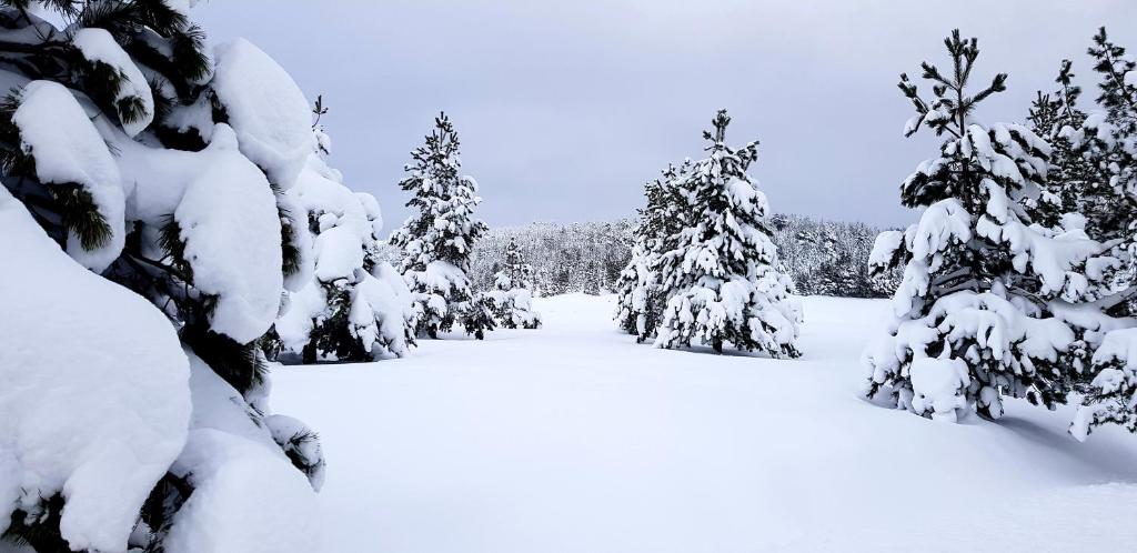 Previja Zlatibor Chalet v zimě
