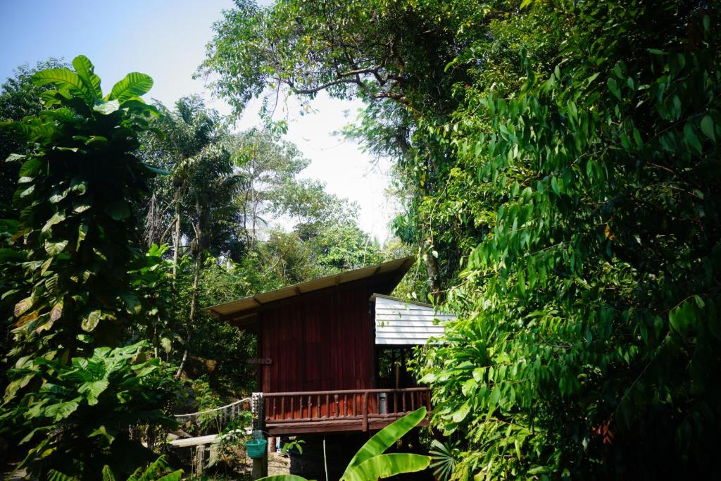 a small cabin in the middle of trees at Wooden Hut Koh Kood in Ko Kood