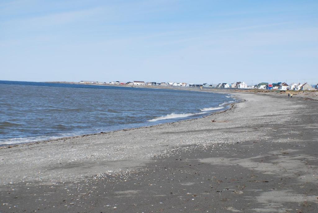 a beach with a group of people and the ocean at La Maison entre Mer Montagnes in Cap-Chat