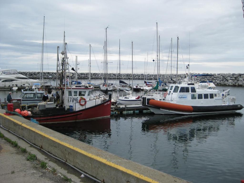 a group of boats docked in a harbor at La Maison entre Mer Montagnes in Cap-Chat