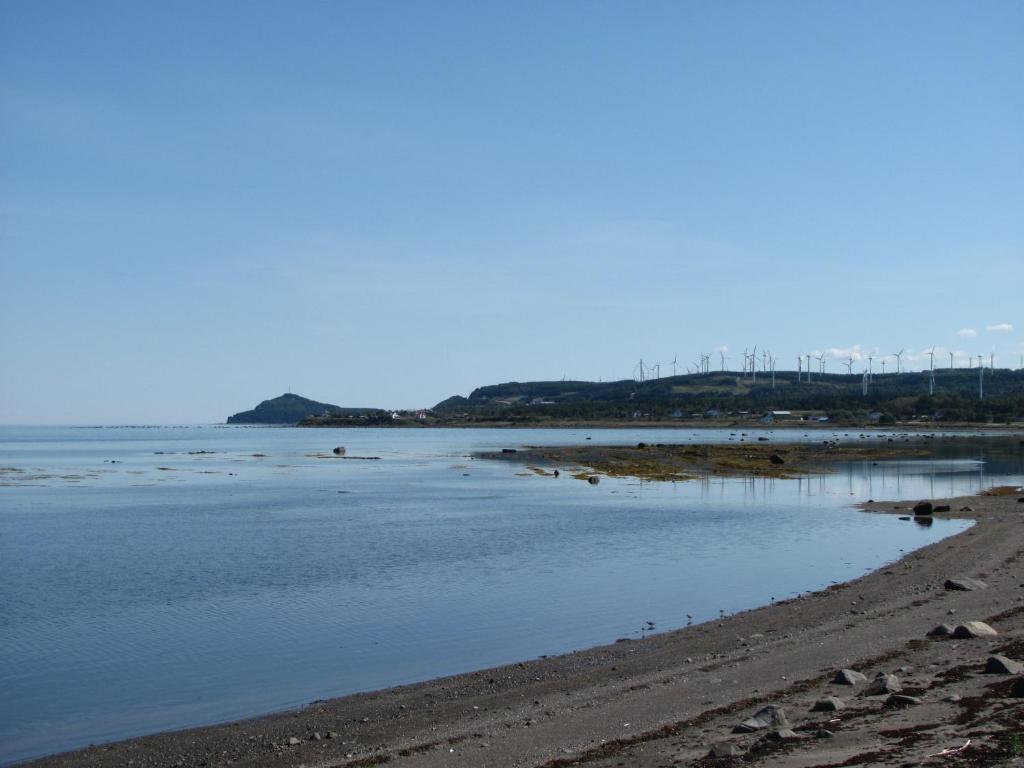 a view of a beach with the shoreline at La Maison entre Mer Montagnes in Cap-Chat