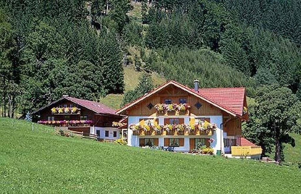 uma casa no lado de uma colina em Ferienhof Steinmüller em Bad Hindelang