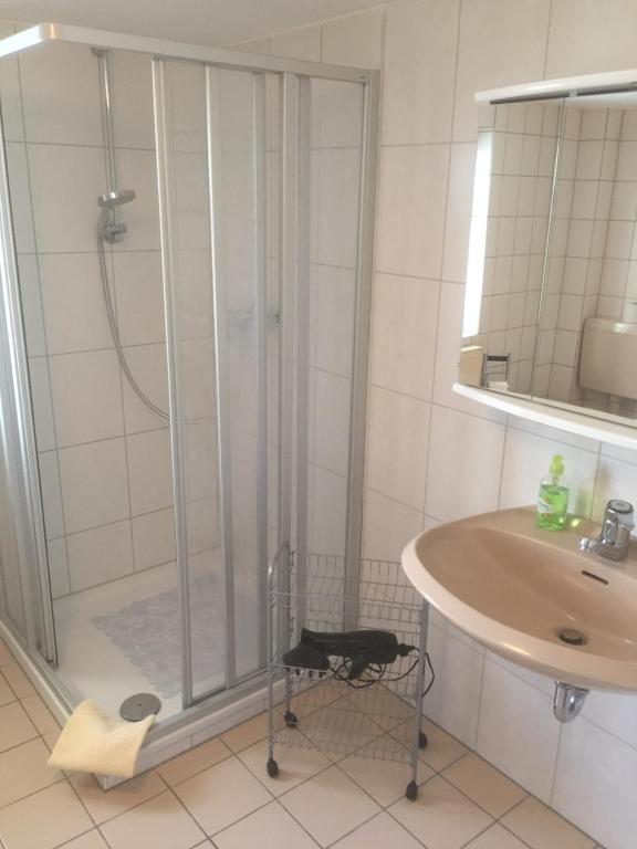 a bathroom with a shower and a sink at Knüllhotel Tann-Eck in Knüllwald