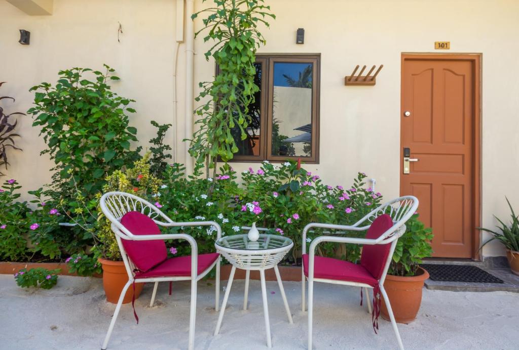 Zahrada ubytování Paguro Villa