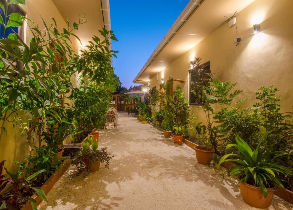 Fotografie z fotogalerie ubytování Paguro Villa v destinaci Ukulhas