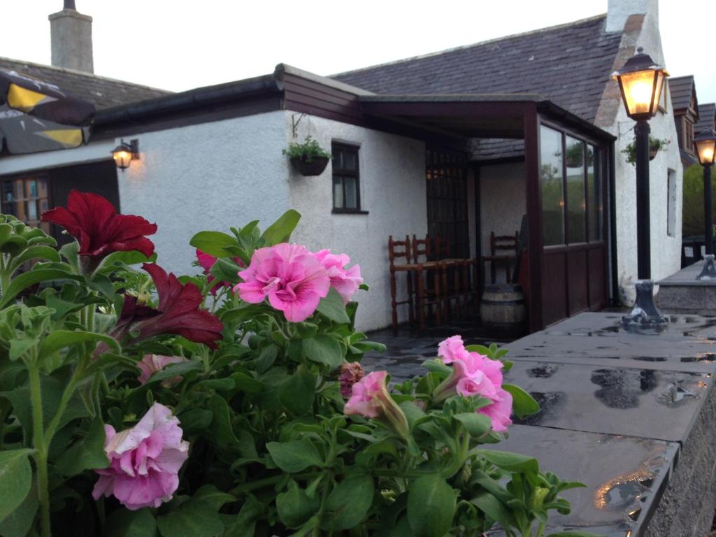 un jardín con flores rosas frente a una casa en The Neuk, en Portlethen