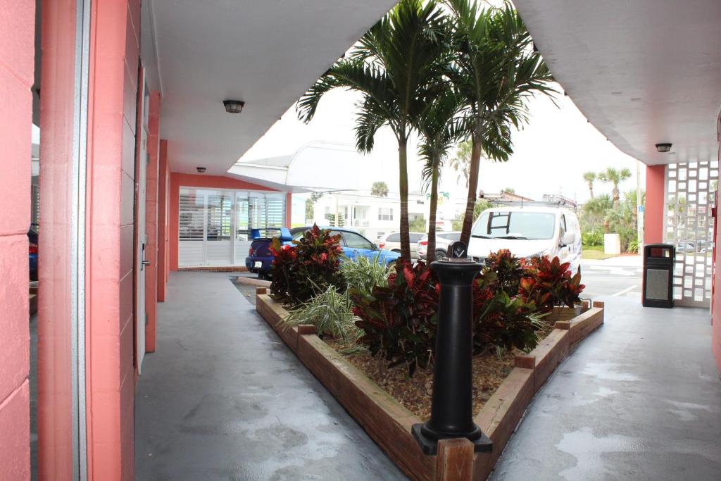 Cove Motel Oceanfront - Pas De Vue - Deux Lits Doubles