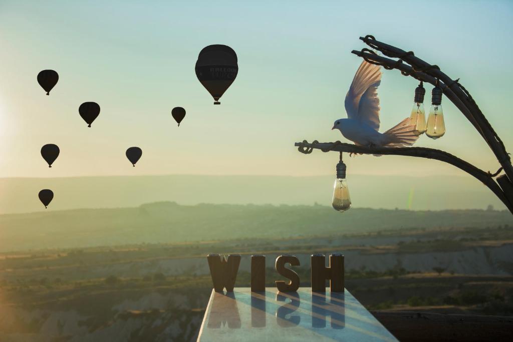 a bird sitting on a branch with hot air balloons at Wish Cappadocia in Uchisar