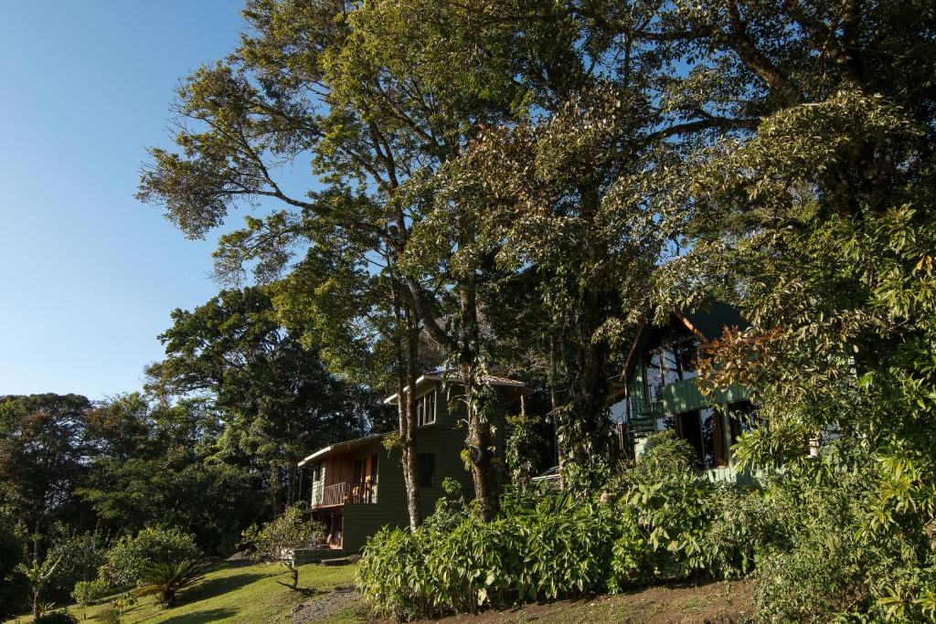 Hotel Flor de Bromelia, Monteverde Costa Rica – Updated 2023 Prices