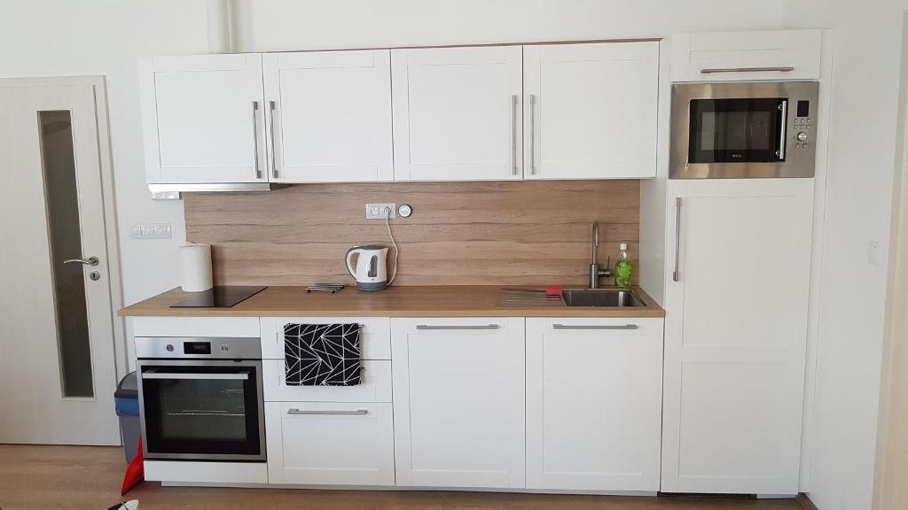 Kuchyň nebo kuchyňský kout v ubytování Apartmán Alfa 11