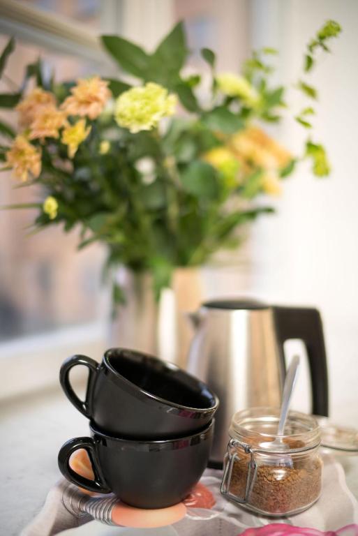 Wasa Park Hotel - Resim 43