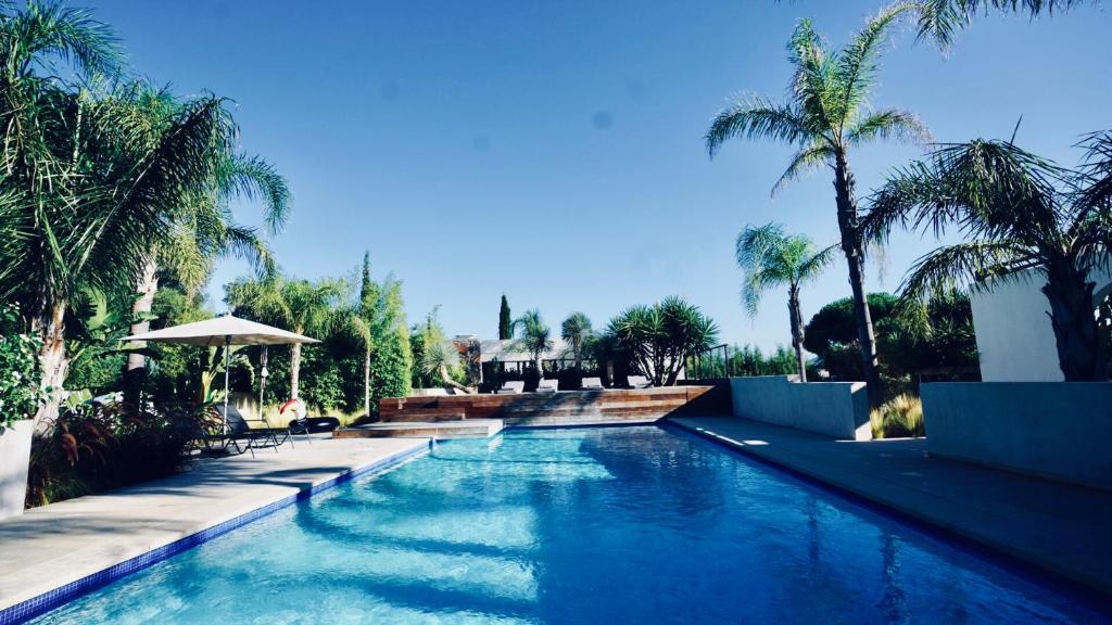 une piscine avec des palmiers dans un complexe hôtelier dans l'établissement Golfe de Saint Tropez- Beauvallon Villa, à Grimaud