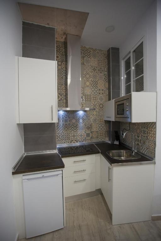 Kuchyňa alebo kuchynka v ubytovaní Apartamentos Catedral