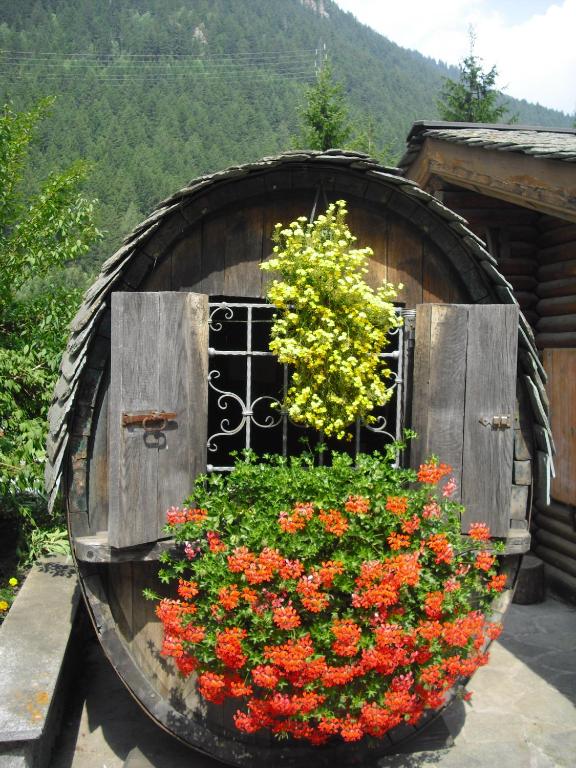 Zahrada ubytování CAMPING CIMAPIAZZI