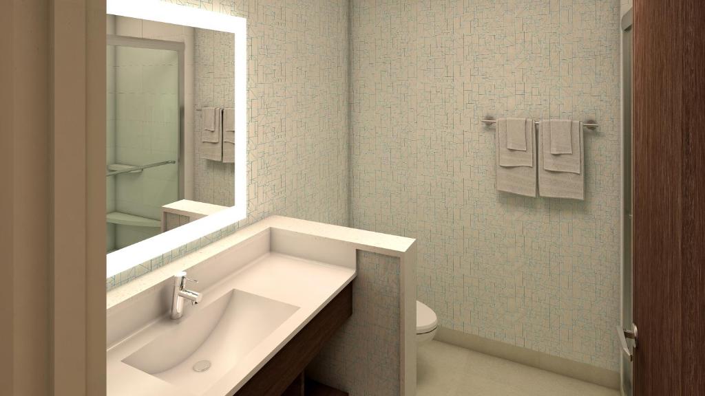 Holiday Inn Express & Suites - Phoenix - Airport North by IHGにあるバスルーム