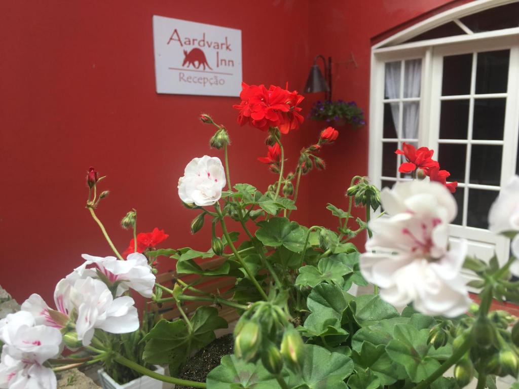 Um jardim no exterior de Aardvark Inn Pousada