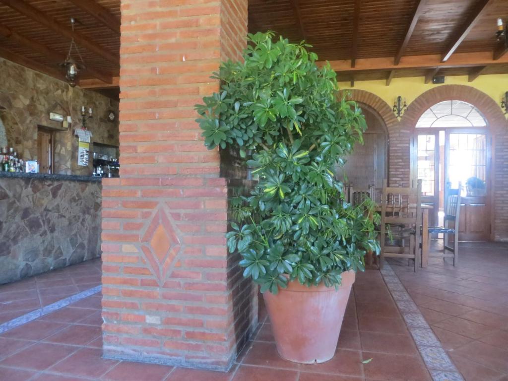 Hostal Rest. Campoabierto, Valencia de las Torres – Preços ...