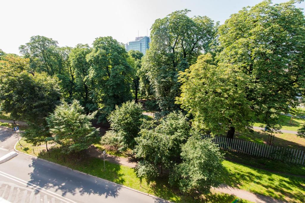 Bliss Apartments - 7