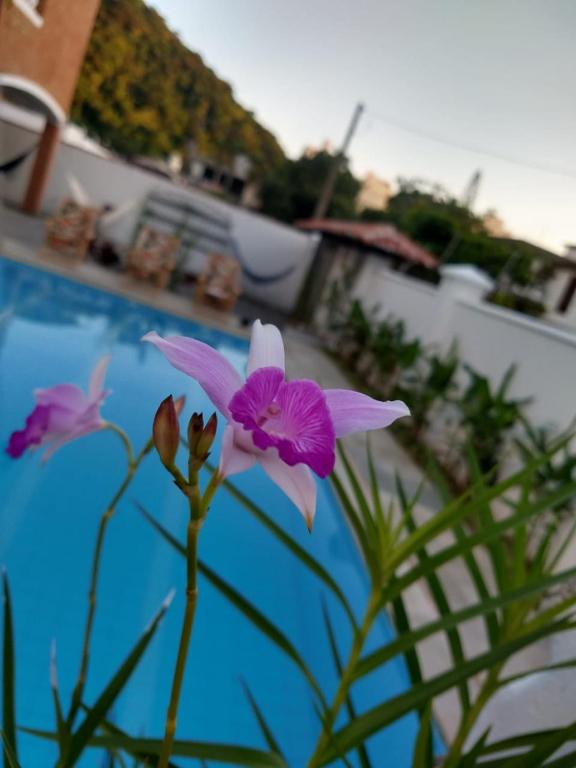  Capim Limão Hostel Boutique