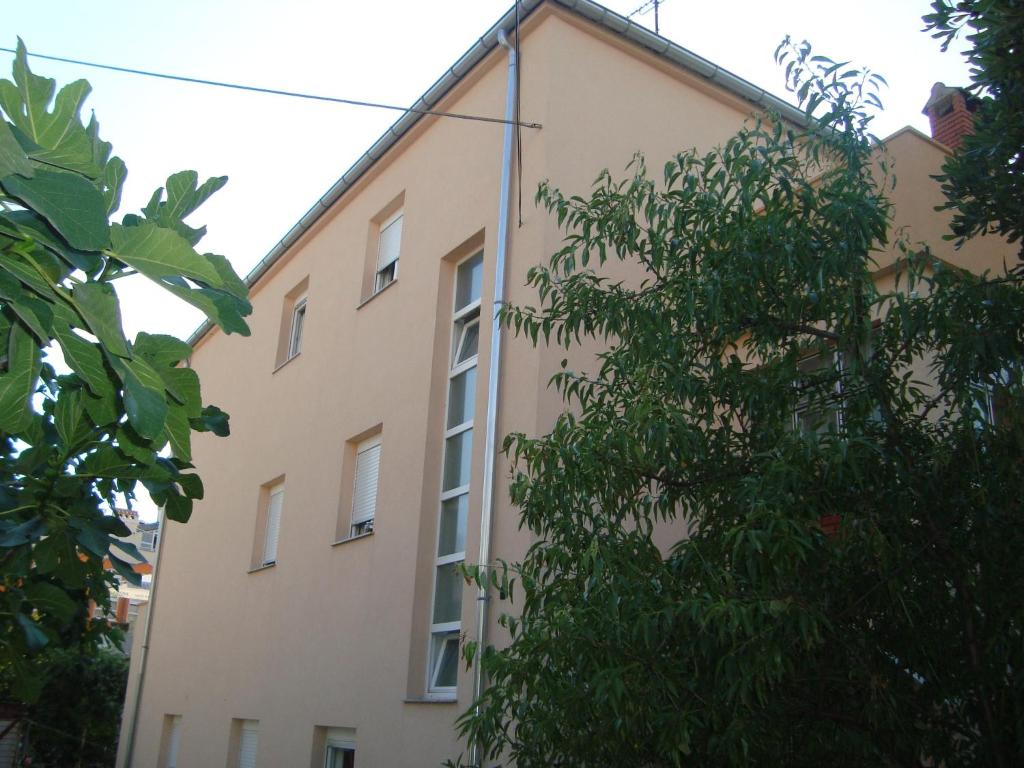 un edificio con un árbol delante de él en Apartments and Rooms Antonio en Zadar