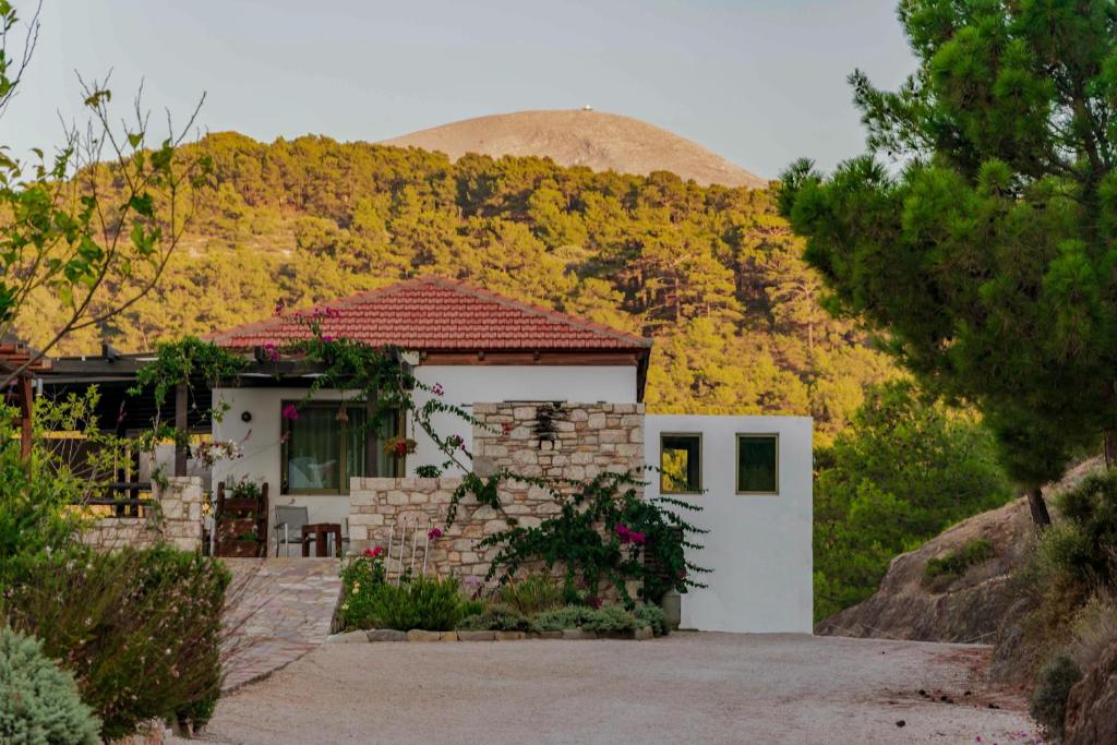 Nespecifikovaný výhled na hory nebo výhled na hory při pohledu z bed and breakfast
