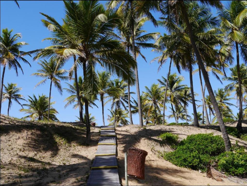  Apartamento Terraco Buganvilias - Reserva Imbassai