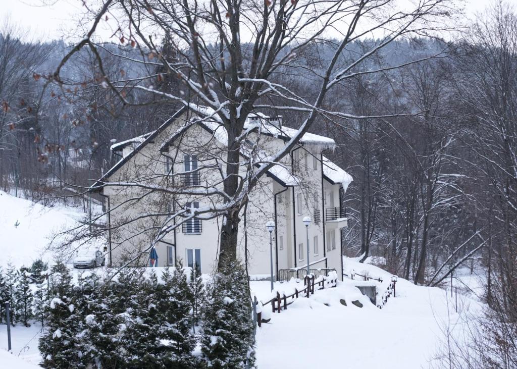 Pensjonat Irena om vinteren