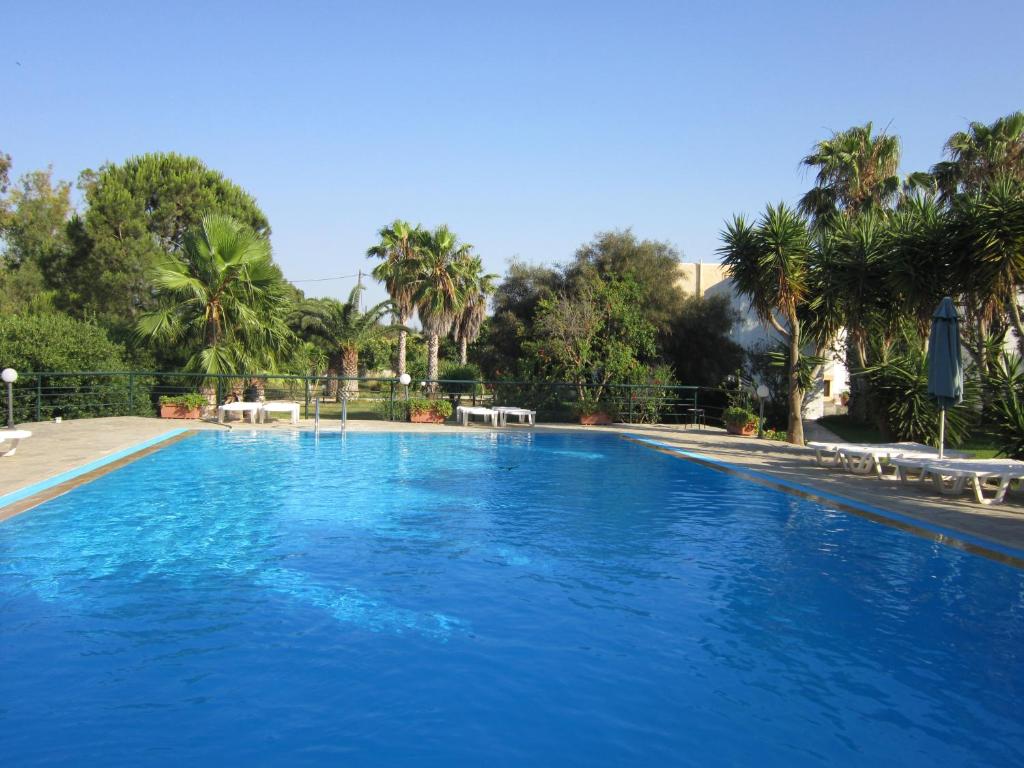 科斯城的住宿－海鷗公寓酒店，一个种有棕榈树的大型蓝色游泳池