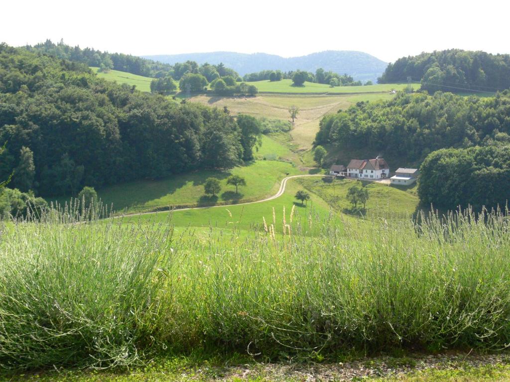 een grasveld met een huis in de verte bij Gîte la Sapinière in Labaroche