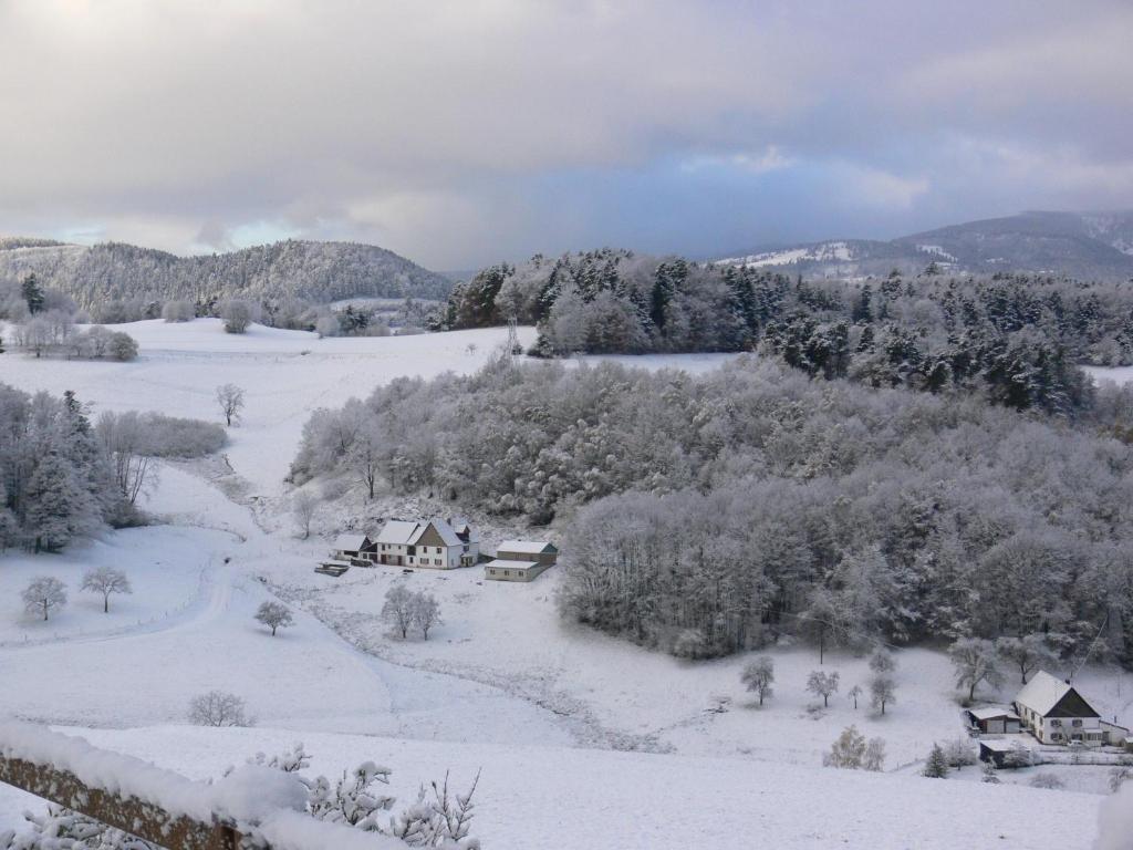 Gîte la Sapinière v zimě